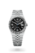 Rolex Prepetual Land Dweller