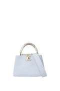 Louis Vuitton Capucines Mini