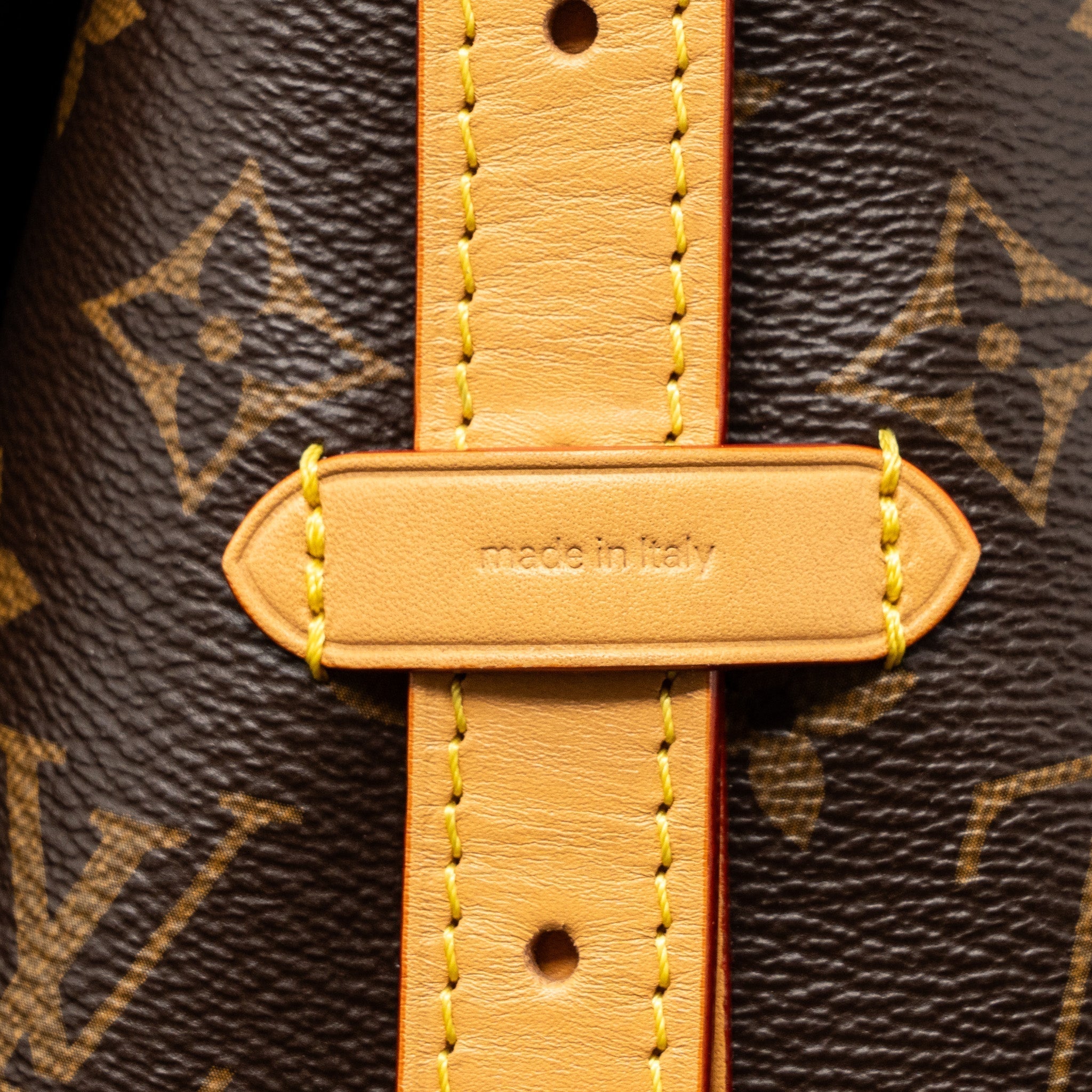 Carryall PM Monogram Canvas Tote Bag Gold-Tone Hardware