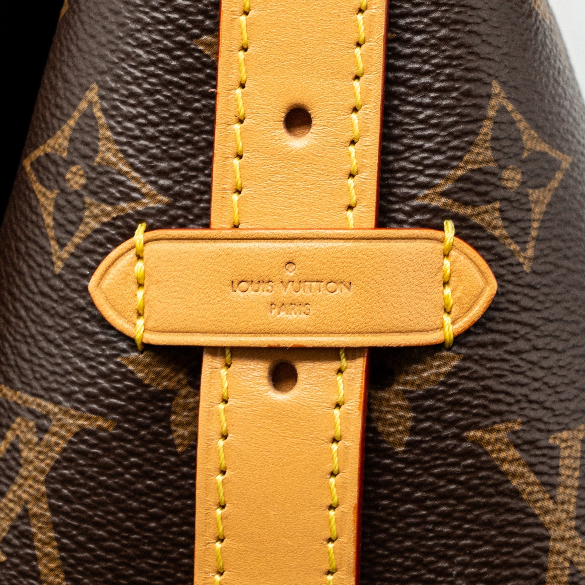 Carryall PM Monogram Canvas Tote Bag Gold-Tone Hardware