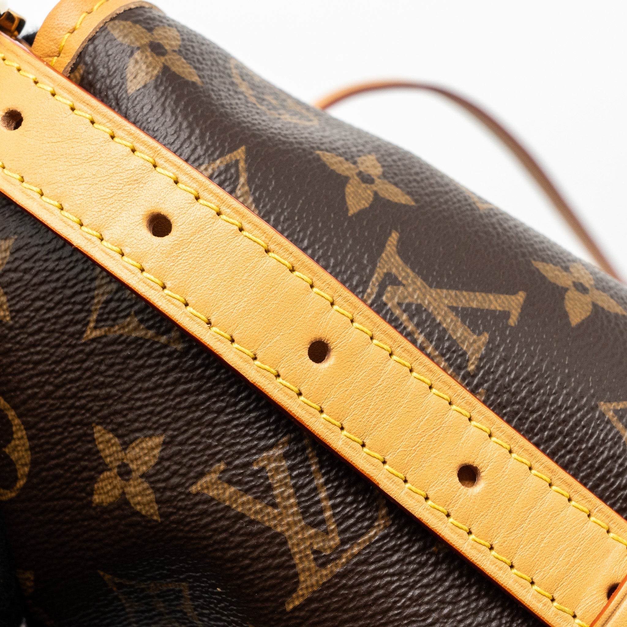Carryall PM Monogram Canvas Tote Bag Gold-Tone Hardware
