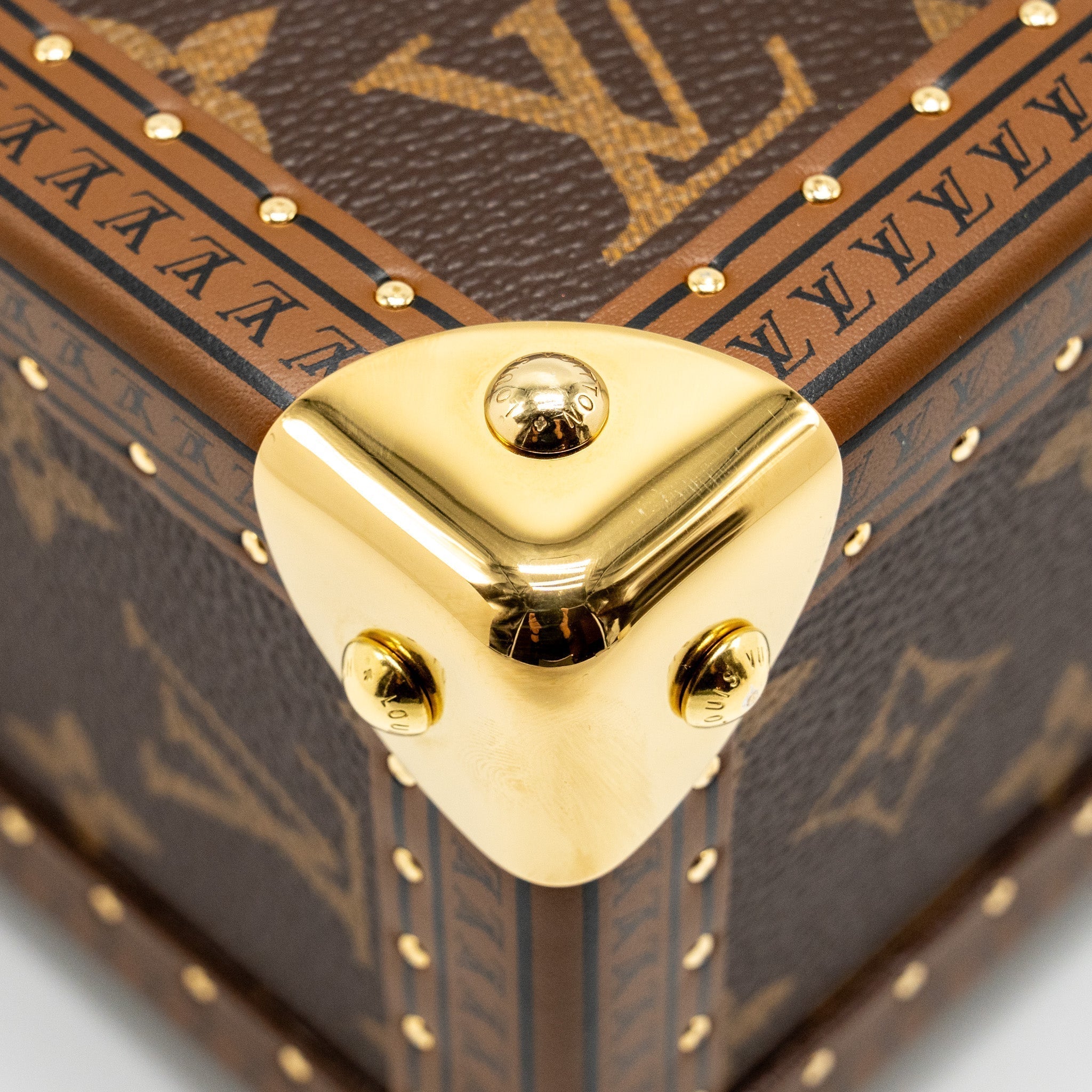 Camera Box Trunk Monogram Canvas Leather Handbag Gold Tone Hardware