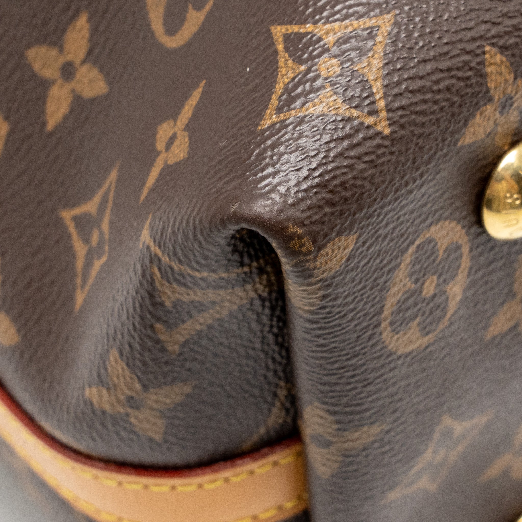 Carryall PM Monogram Canvas Tote Bag Gold-Tone Hardware