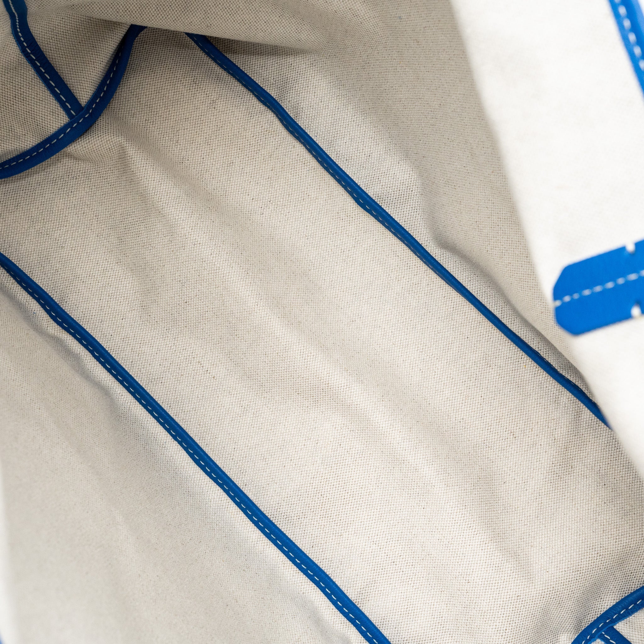 Goyard Saint Louis PM Tote Bag Canvas Blue Silver-Tone Hardware