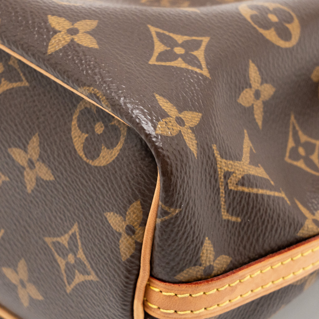 Nano Noe Monogram Canvas Handbag Gold-Tone Hardware