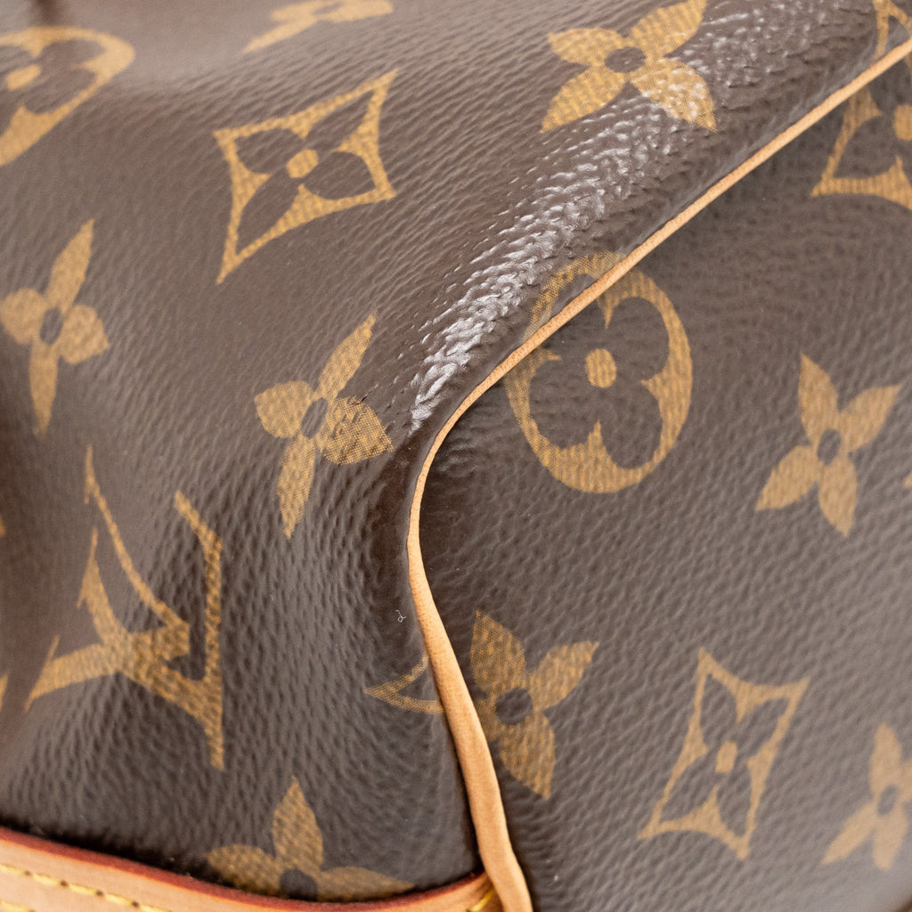 Nano Noe Monogram Canvas Handbag Gold-Tone Hardware