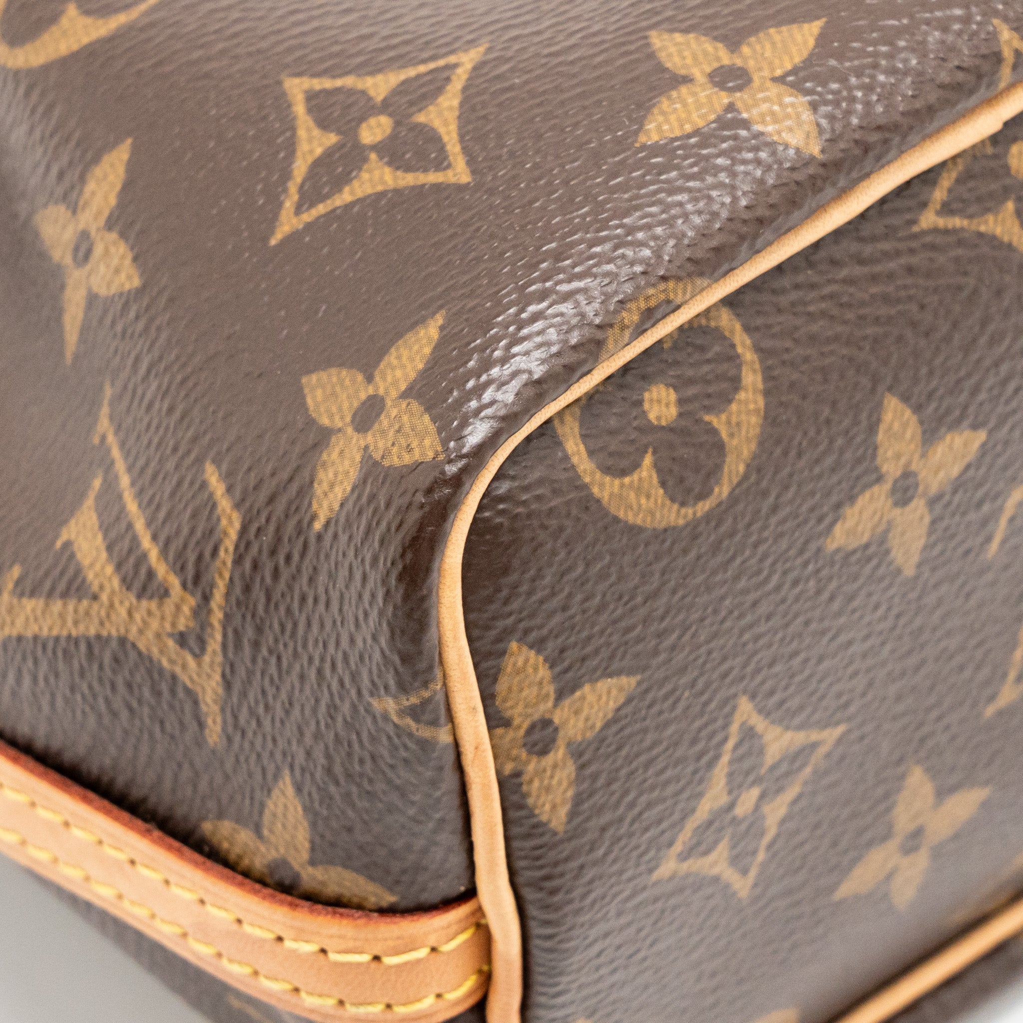 Nano Noe Monogram Canvas Handbag Gold-Tone Hardware