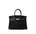 Hermés Birkin 25 Suede