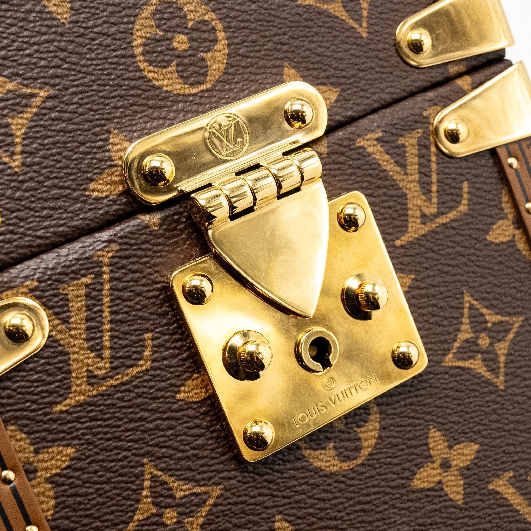 Camera Box Trunk Monogram Canvas Leather Handbag Gold Tone Hardware