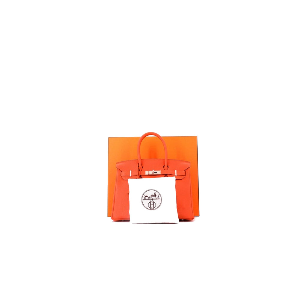 Hermès Birkin 25 Orange Togo Palladium Hardware